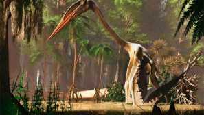 Ketzalcoatl pterodactyl